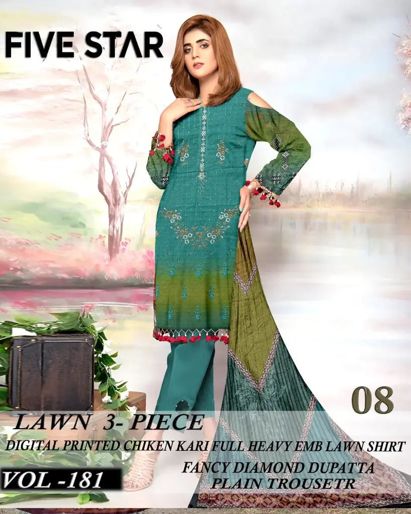Five Star chikan kari boring fully heavy embroidery
